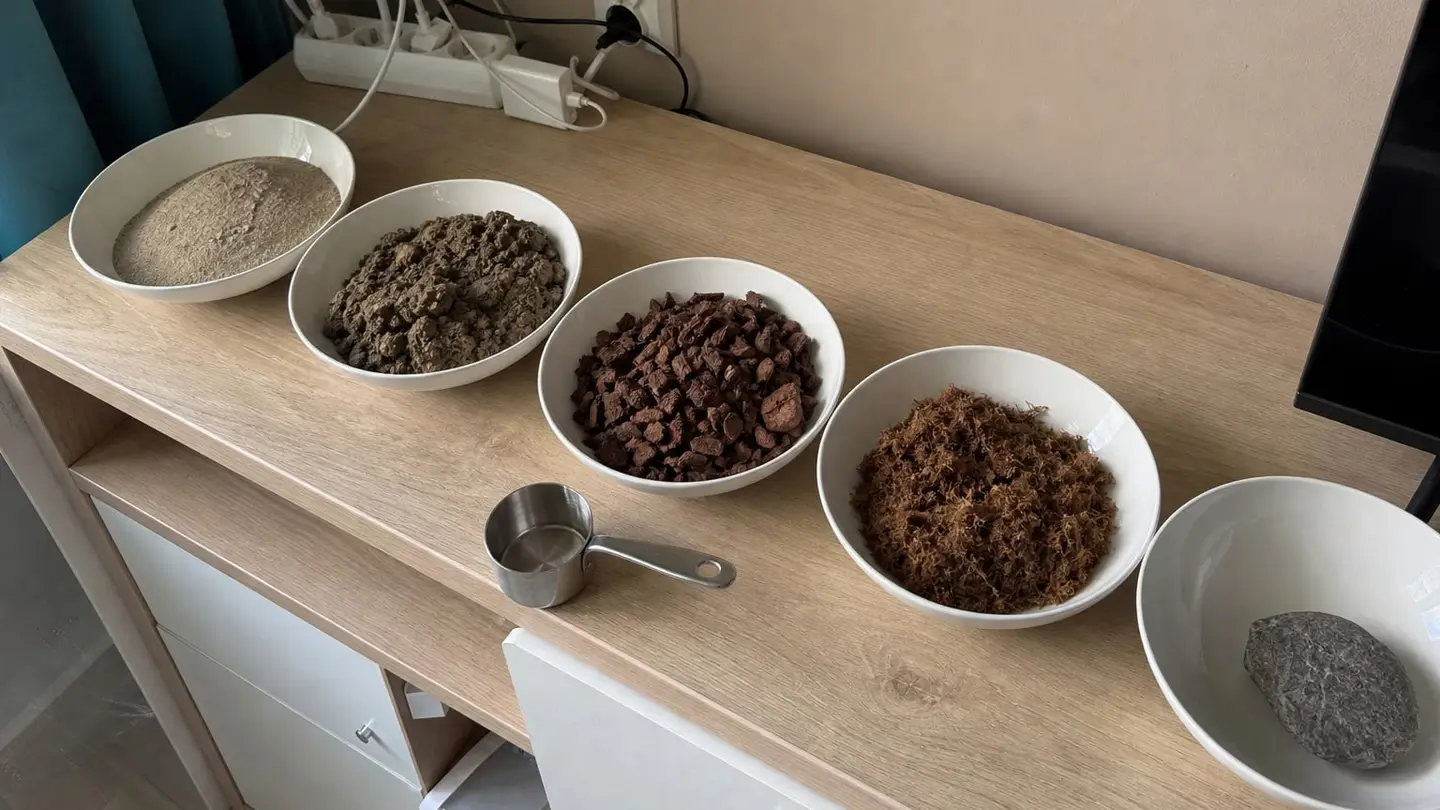Pięć płaskich misek z różnymi podłożami na drewnianym blacie: piasek, glina, kora, włókno kokosowe i kamień